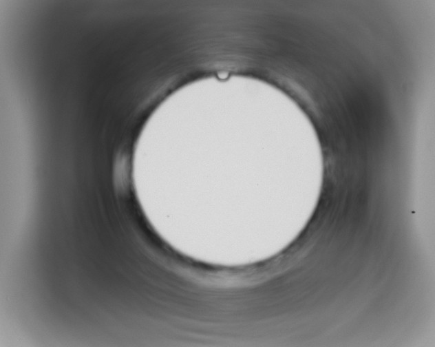 X0000113030020200910081229