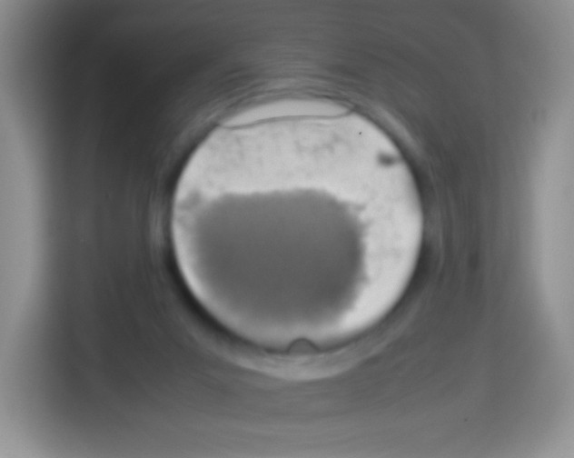 X0000113030023200910081229