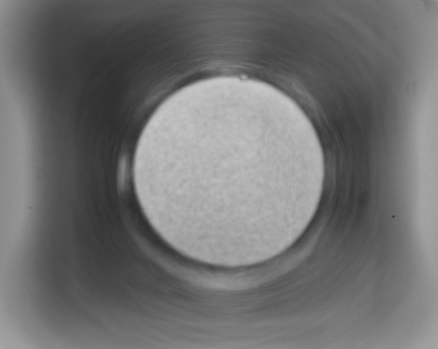 X0000113030024200910081229