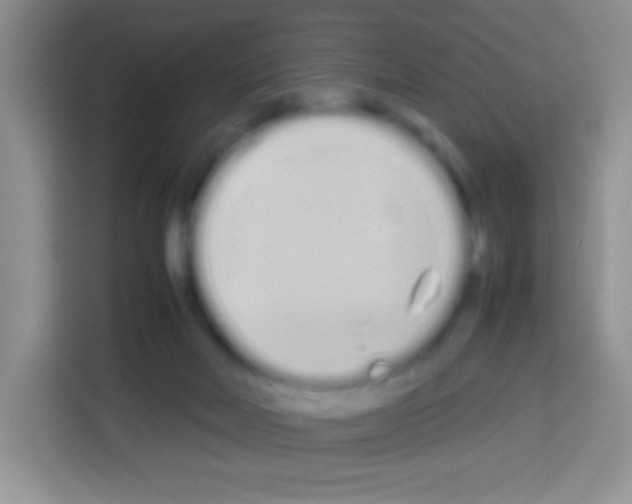 X0000113030026200910081229
