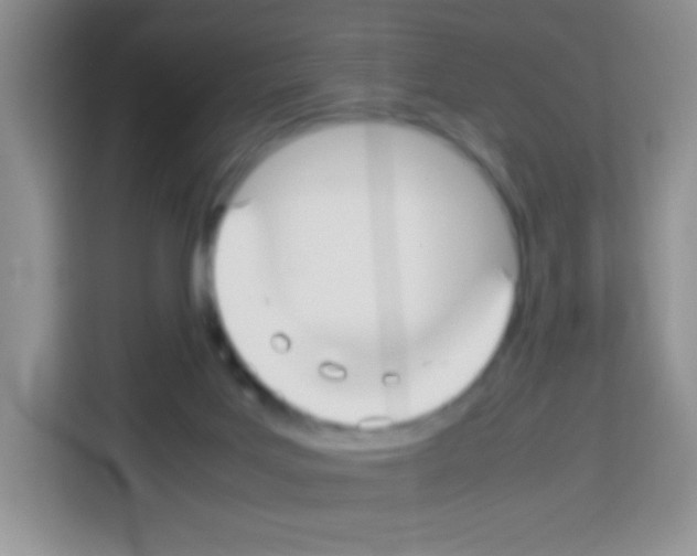 X0000113030027200910081229