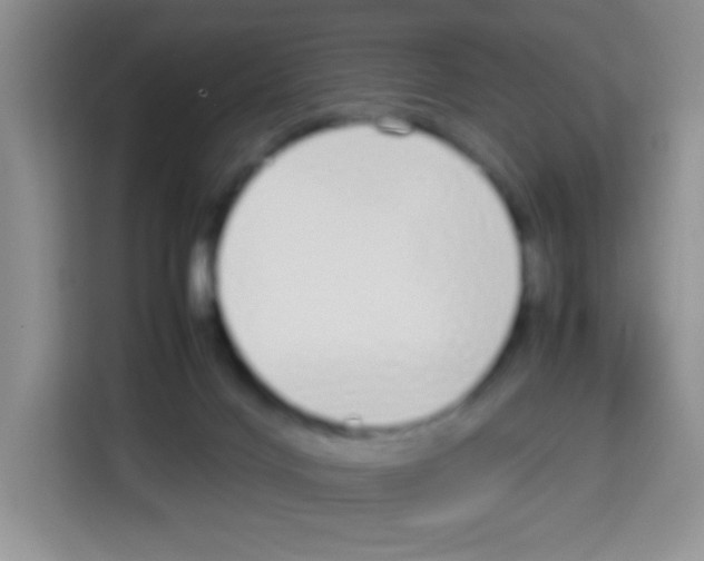 X0000113030028200910081229