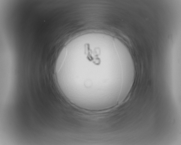 X0000113030029200910081229