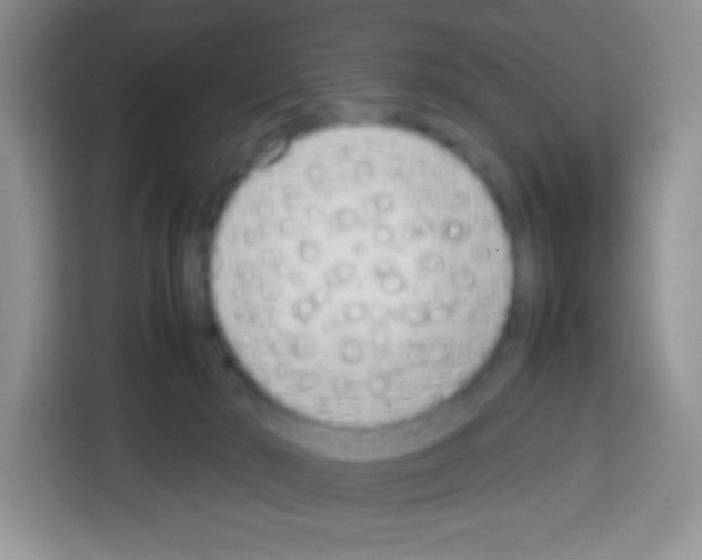 X0000113030030200910081229