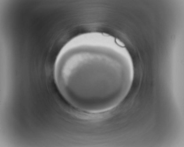 X0000113030031200910081229