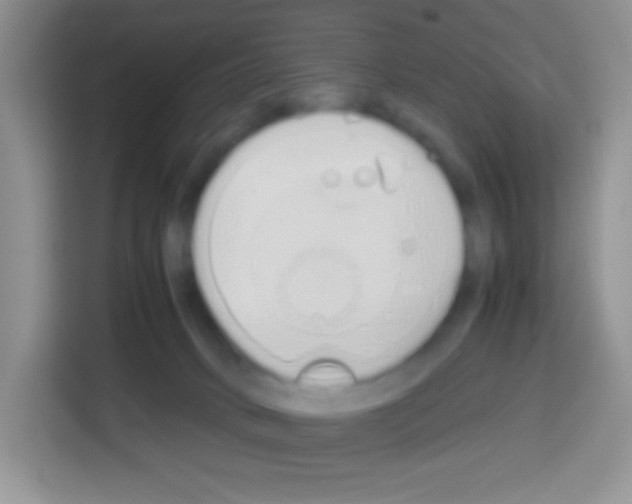 X0000113030034200910081229