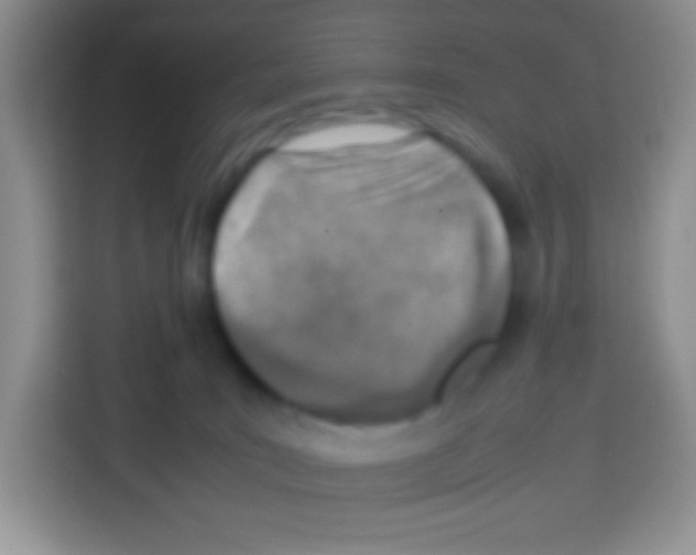 X0000113030035200910081229