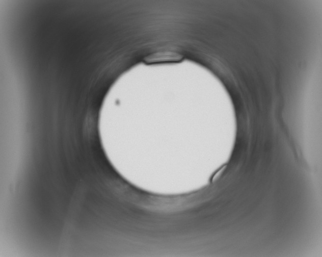 X0000113030037200910081229