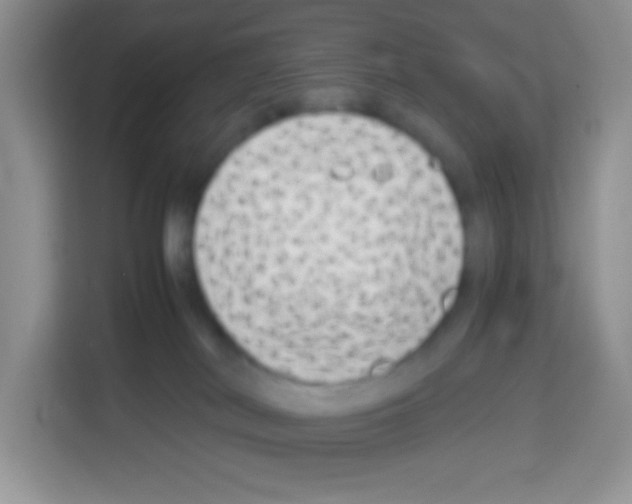 X0000113030038200910081229