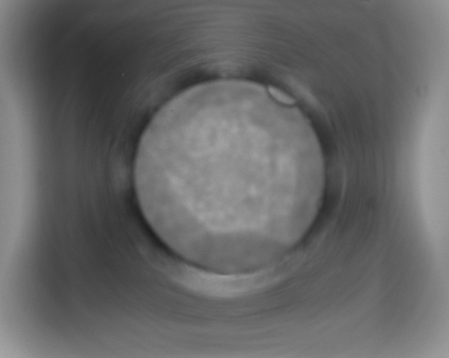 X0000113030039200910081229