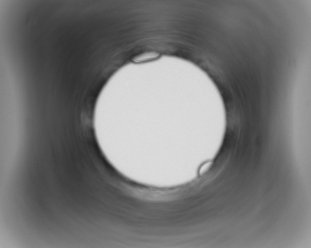 X0000113030040200910081229