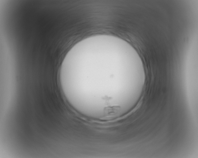 X0000113030041200910081229