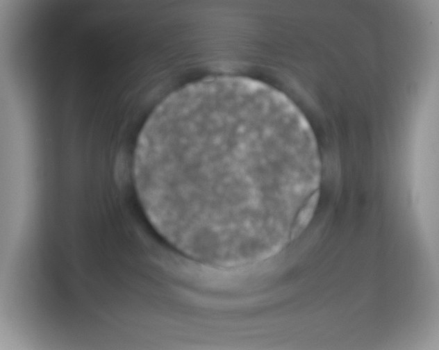 X0000113030043200910081229
