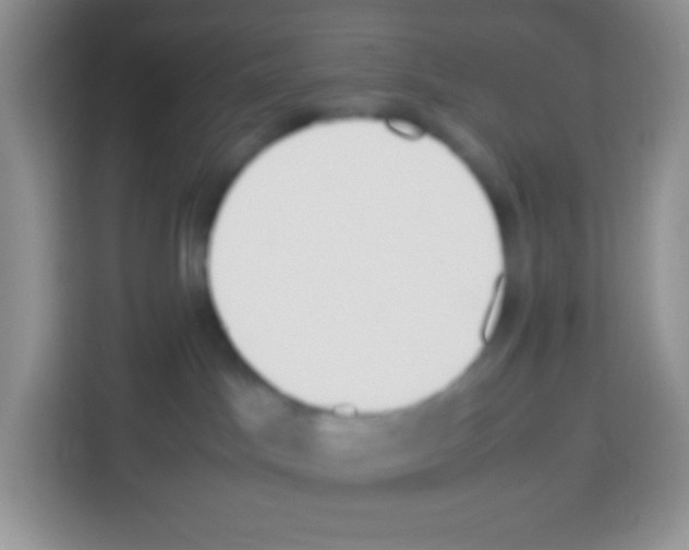 X0000113030045200910081229