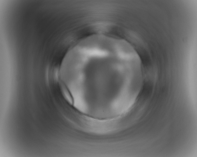 X0000113030047200910081229