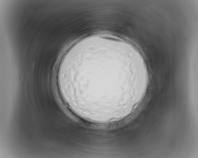 X0000113030049200910081228