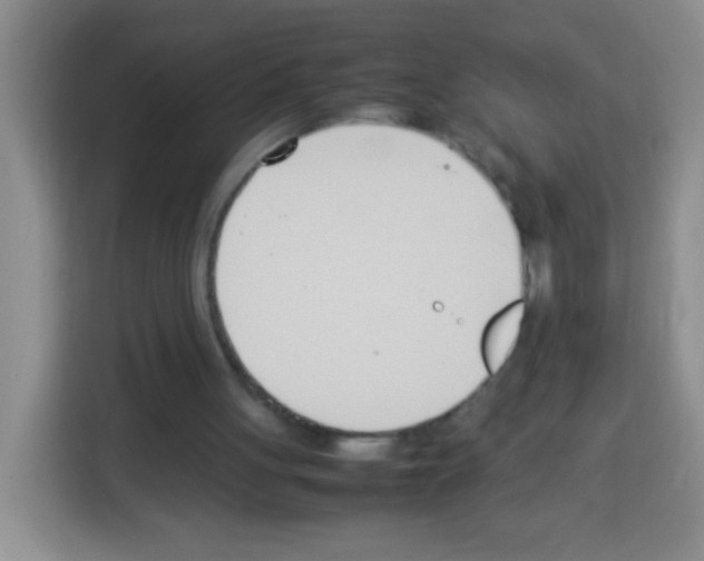 X0000113030051200910081228