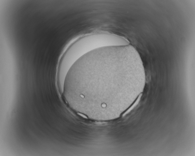 X0000113030052200910081228