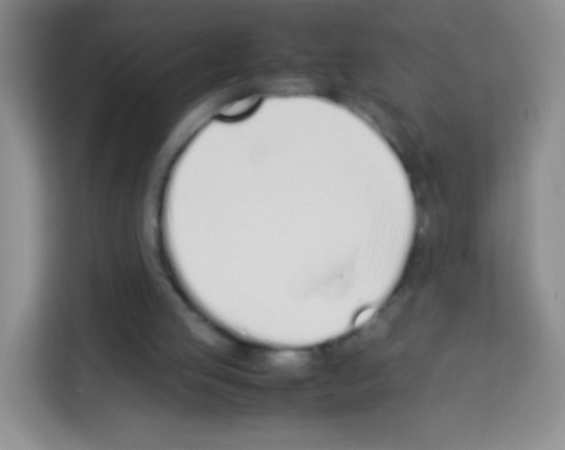 X0000113030053200910081228