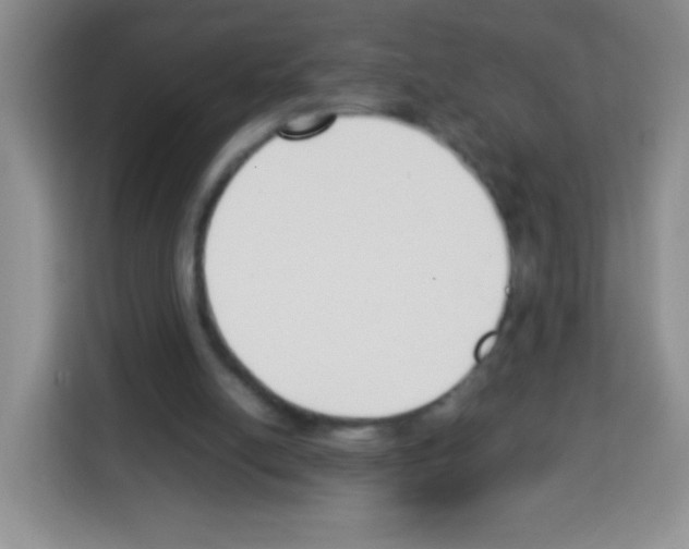 X0000113030054200910081228