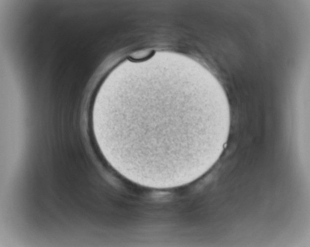X0000113030055200910081228