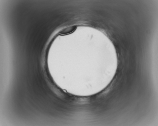 X0000113030056200910081228