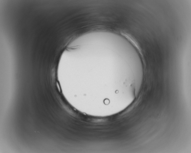 X0000113030057200910081228