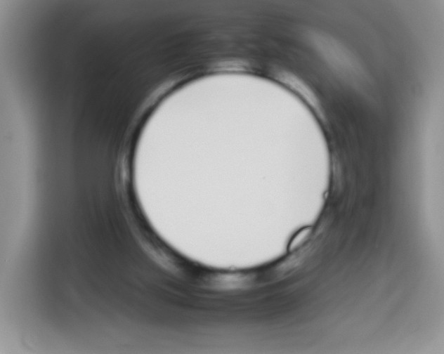 X0000113030059200910081228