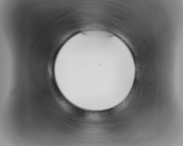X0000113030062200910081228
