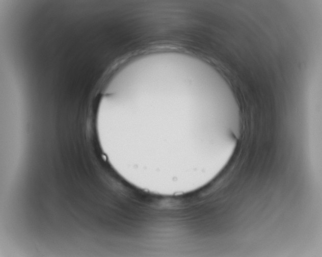 X0000113030064200910081228