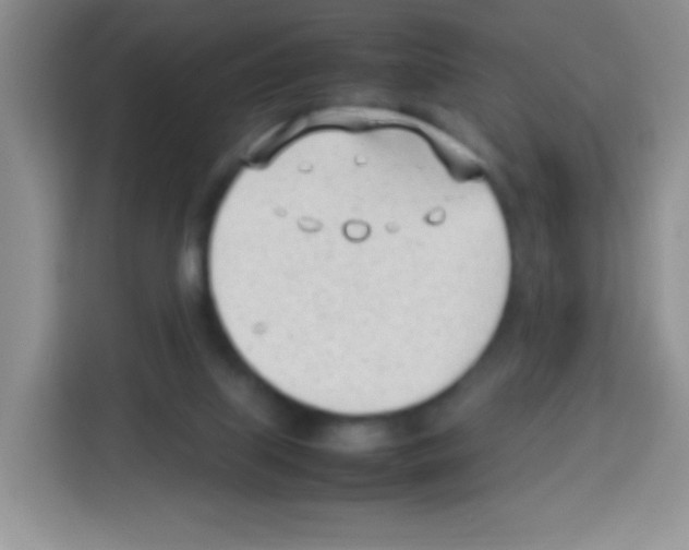 X0000113030067200910081228