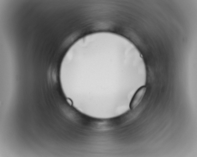 X0000113030068200910081228