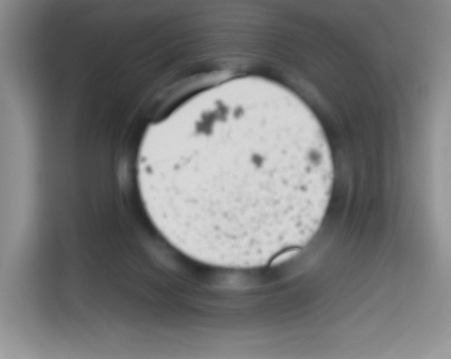 X0000113030074200910081228