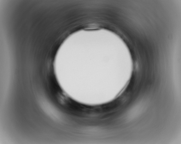X0000113030095200910081229