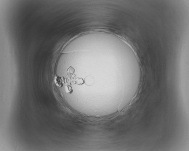 X0000113030097200910081228