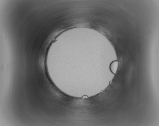 X0000113030098200910081228