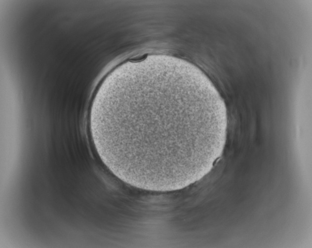 X0000113030100200910081228