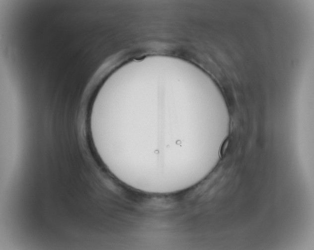 X0000113030101200910081228