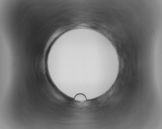 X0000113030102200910081228