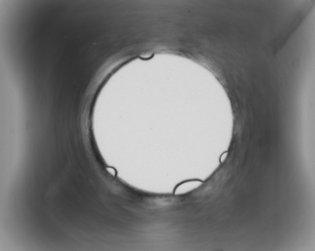 X0000113030103200910081228