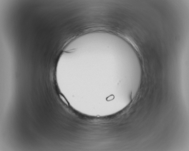 X0000113030105200910081228
