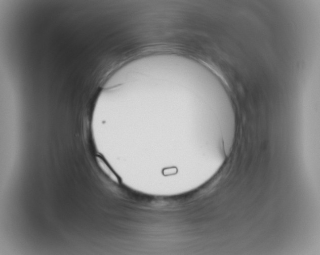 X0000113030109200910081228