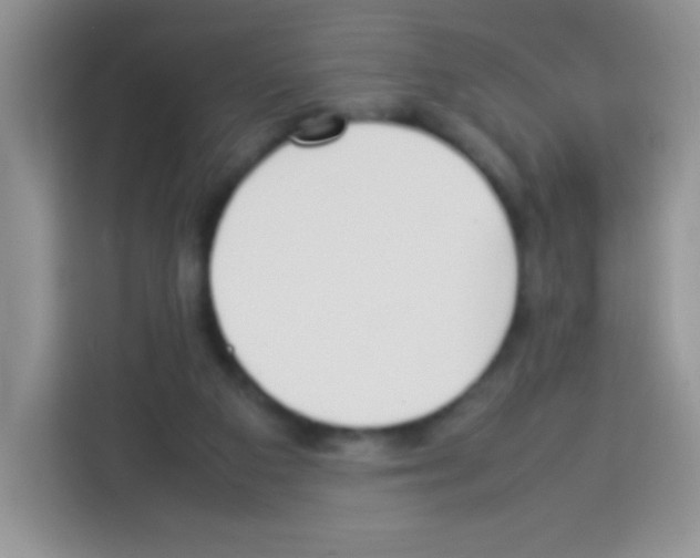 X0000113030113200910081228