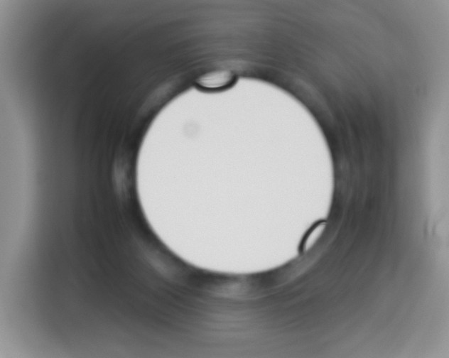 X0000113030116200910081228