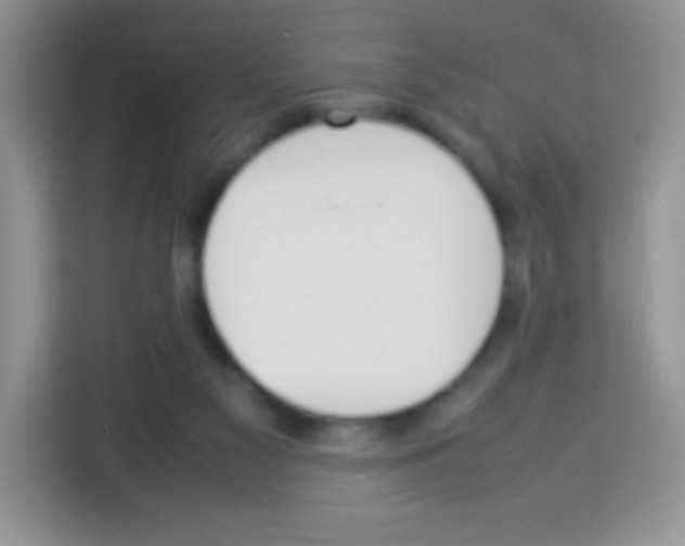 X0000113030117200910081228