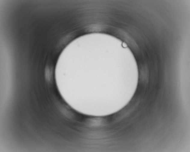 X0000113030118200910081228