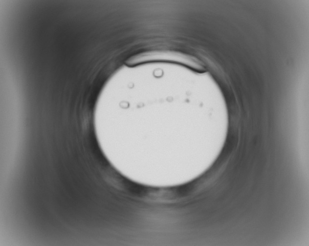 X0000113030125200910081228