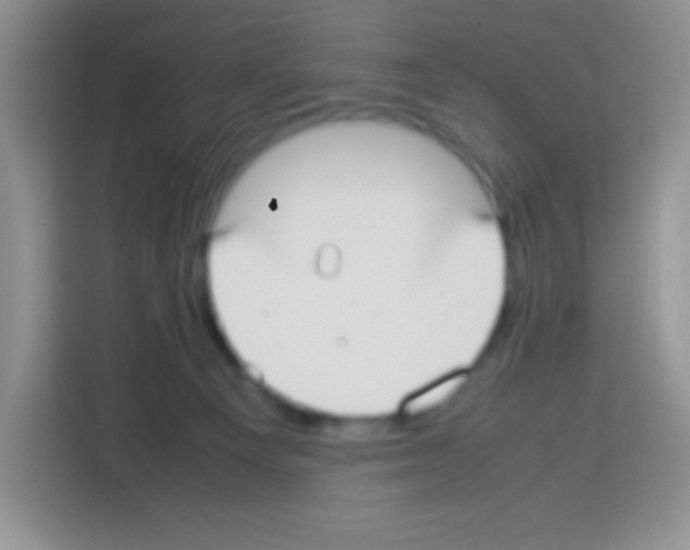 X0000113030129200910081228
