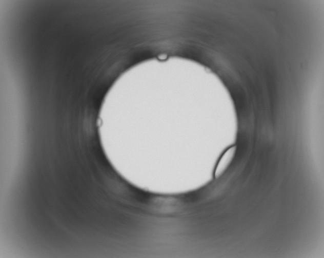 X0000113030133200910081228