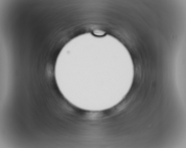 X0000113030135200910081228